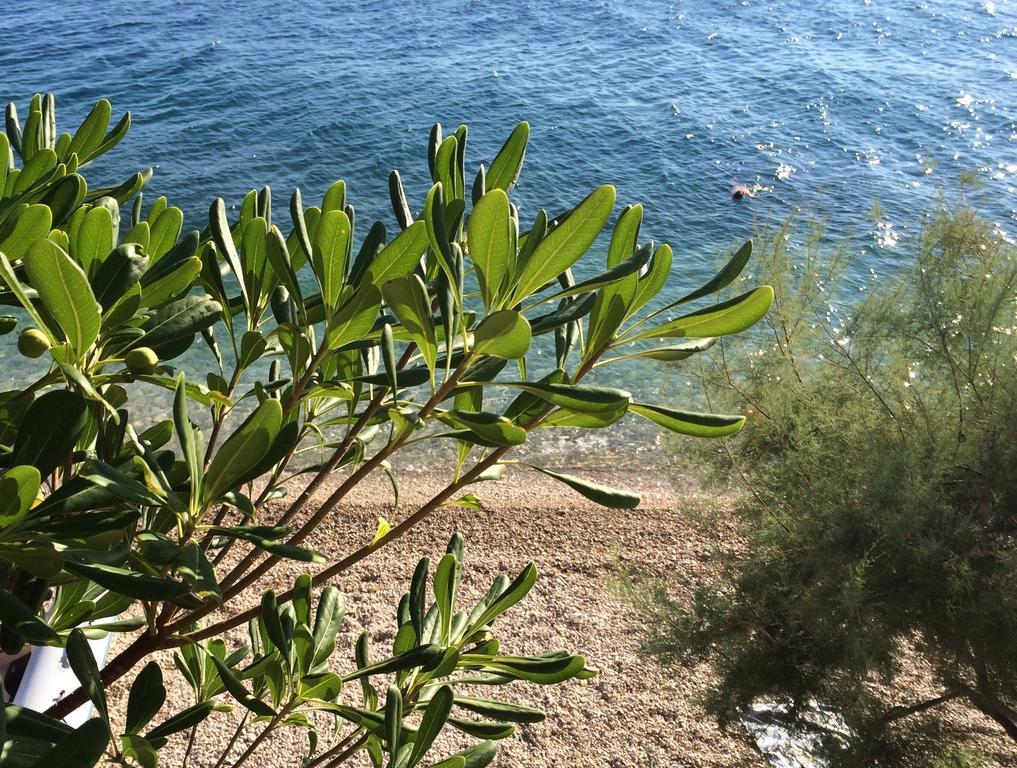 Holiday Home Mala Duba Živogošće 객실 사진